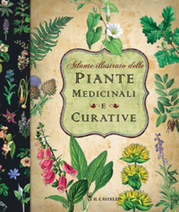 Atlante illustrato delle piante medicinali e curative - Librerie.coop Atlante illustrato delle piante medicinali e curative - Librerie.coop