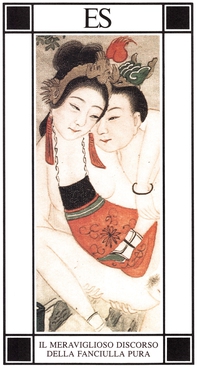 Il meraviglioso discorso della fanciulla pura - Librerie.coop