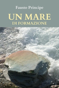 Un mare di formazione. Piccola guida pratica per navigare sicuri nella docenza della formazione d'aul - Librerie.coop Un mare di formazione. Piccola guida pratica per navigare sicuri nella docenza della formazione d'aul - Librerie.coop