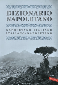Dizionario napoletano - Librerie.coop