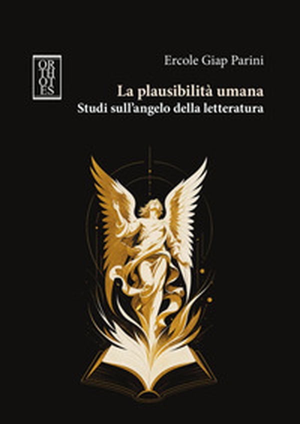 La plausibilità umana. Studi sull'angelo della letteratura - Librerie.coop