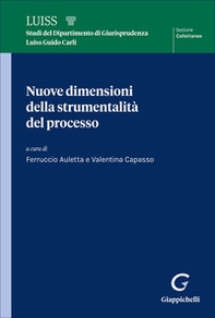 Nuove dimensioni della strumentalità del processo - Librerie.coop