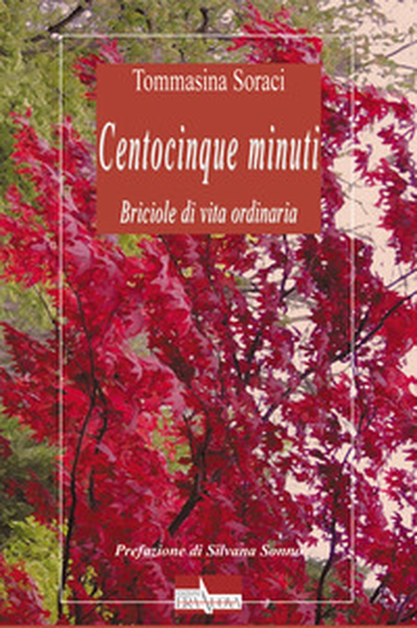 Centocinque minuti. Briciole di vita ordinaria - Librerie.coop Centocinque minuti. Briciole di vita ordinaria - Librerie.coop