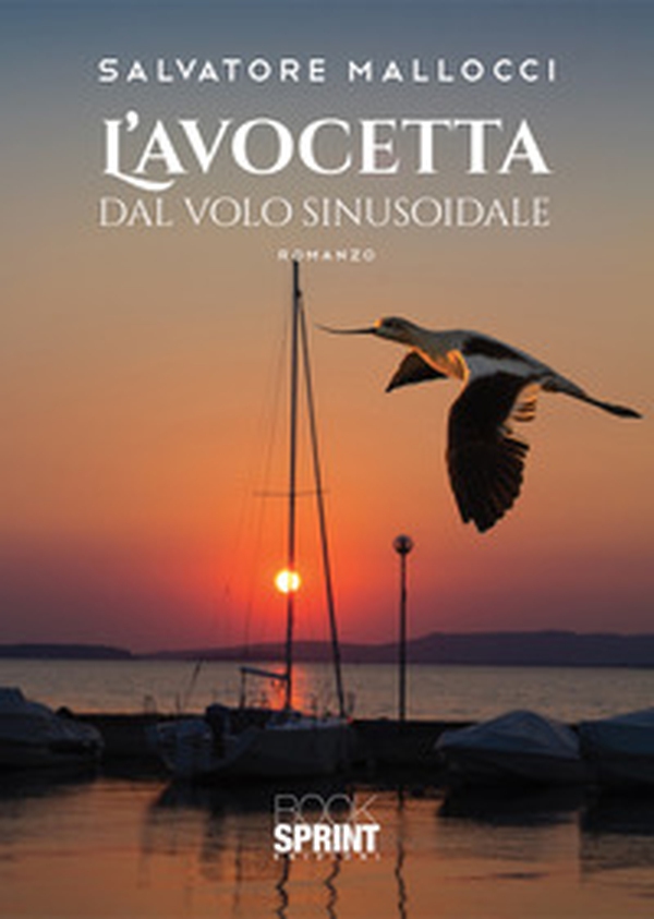 L'avocetta dal volo sinusoidale - Librerie.coop L'avocetta dal volo sinusoidale - Librerie.coop