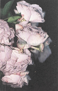 Martin Maeller: Nervous Dust - Librerie.coop