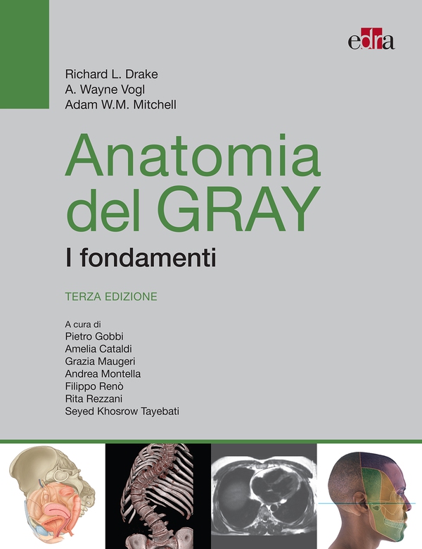 Anatomia del Gray. I fondamenti - Librerie.coop Anatomia del Gray. I fondamenti - Librerie.coop