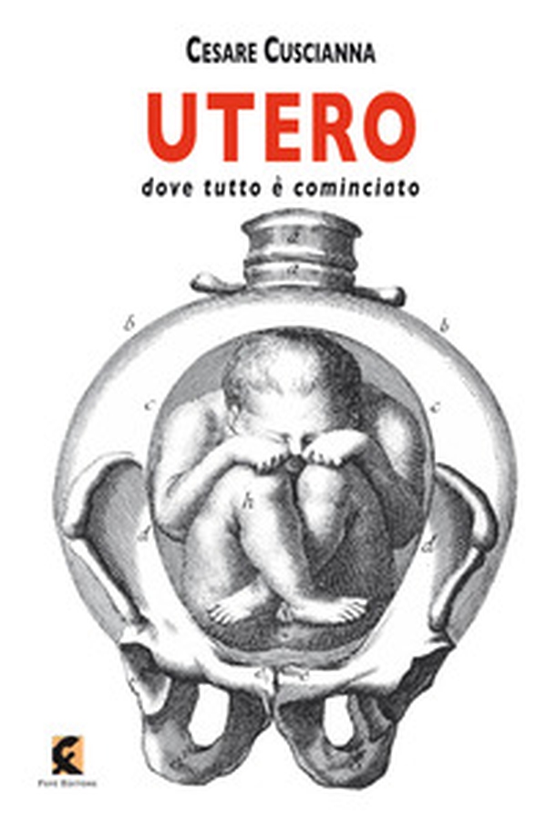 Utero. Dove tutto è cominciato - Librerie.coop