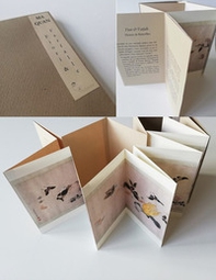 Fiori e farfalle - Librerie.coop