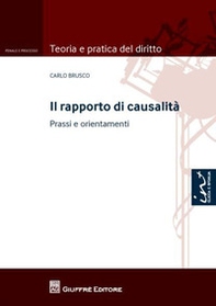 Il rapporto di causalità. Prassi e orientamenti - Librerie.coop