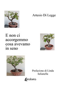E non ci accorgemmo cosa avevamo in seno - Librerie.coop