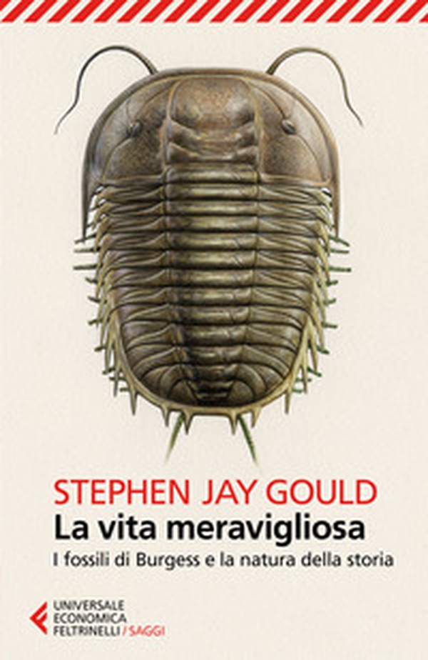 La vita meravigliosa. I fossili di Burgess e la natura della storia - Librerie.coop La vita meravigliosa. I fossili di Burgess e la natura della storia - Librerie.coop