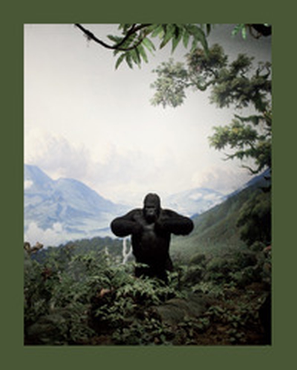 Zoology. Benvenuti nel regno animale - Librerie.coop Zoology. Benvenuti nel regno animale - Librerie.coop