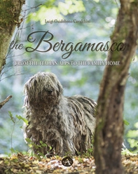 The bergamasco. From the Italian Alps to the family home - Librerie.coop