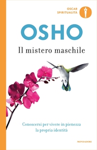 Il mistero maschile - Librerie.coop