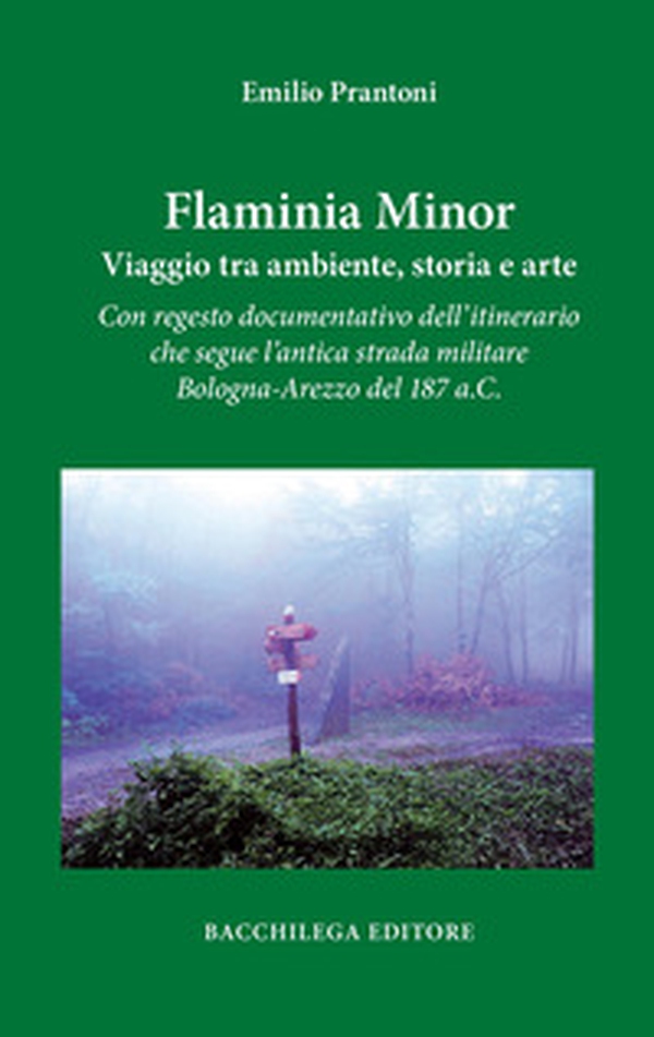 Flaminia Minor. Viaggio tra ambiente, storia e arte. Con regesto documentativo dell'itinerario che segue l'antica strada militare Bologna-Arezzo del 187 a.C. - Librerie.coop Flaminia Minor. Viaggio tra ambiente, storia e arte. Con regesto documentativo dell'itinerario che segue l'antica strada militare Bologna-Arezzo del 187 a.C. - Librerie.coop