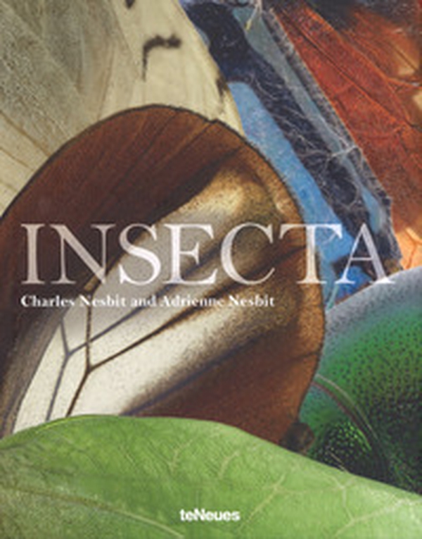 Insecta - Librerie.coop Insecta - Librerie.coop