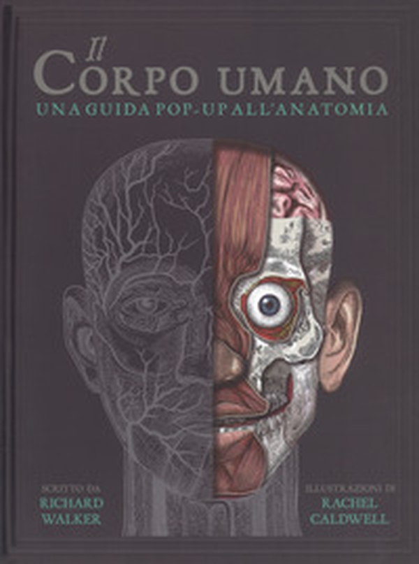 Il corpo umano. Una guida pop-up all'anatomia - Librerie.coop Il corpo umano. Una guida pop-up all'anatomia - Librerie.coop