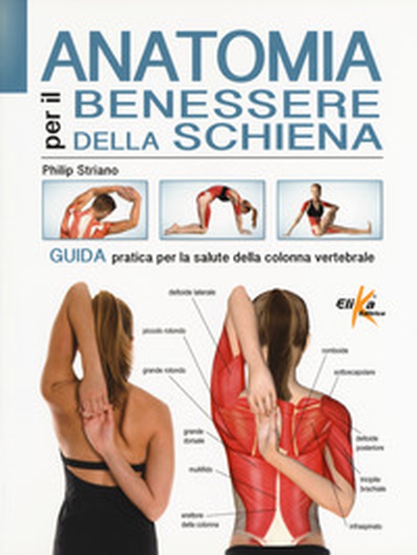Anatomia per il benessere della schiena. Guida pratica per la salute della colonna vertebrale - Librerie.coop Anatomia per il benessere della schiena. Guida pratica per la salute della colonna vertebrale - Librerie.coop