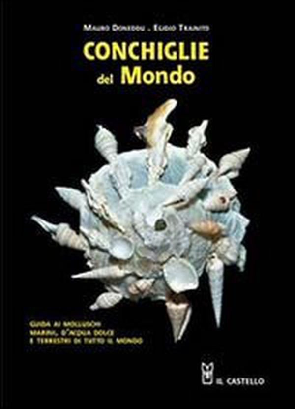 Conchiglie dal mondo. Guida ai molluschi marini, d'acqua dolce e terrestri di tutto il mondo - Librerie.coop Conchiglie dal mondo. Guida ai molluschi marini, d'acqua dolce e terrestri di tutto il mondo - Librerie.coop