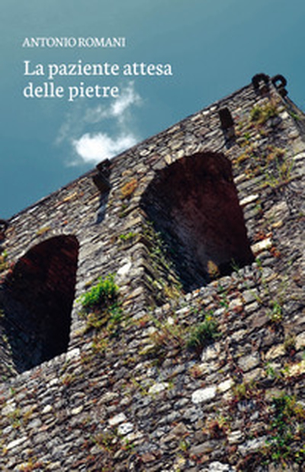 La paziente attesa delle pietre - Librerie.coop La paziente attesa delle pietre - Librerie.coop