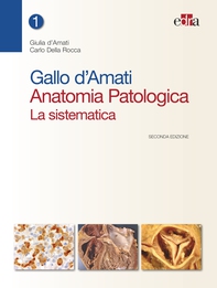 Gallo d'Amati Anatomia Patologica. La sistematica  - II ed. - Librerie.coop