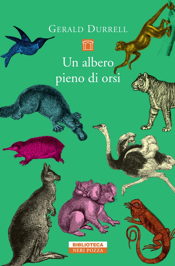 Un albero pieno di orsi - Librerie.coop Un albero pieno di orsi - Librerie.coop