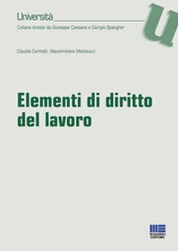 Elementi di diritto del lavoro - Librerie.coop