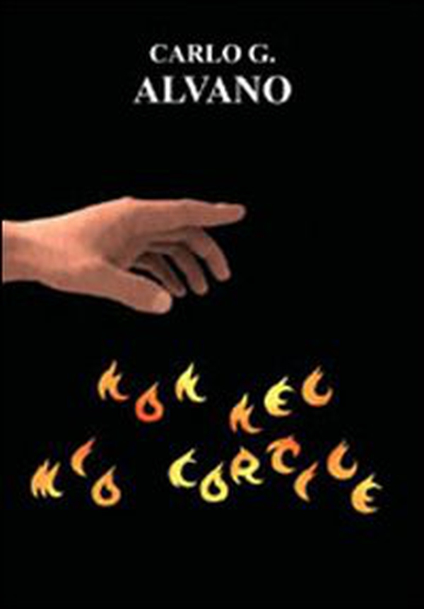 Non nel mio cortile - Librerie.coop Non nel mio cortile - Librerie.coop