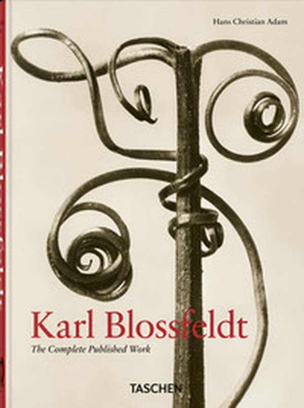 Blossfeldt. The complete published work. 40th Ed. - Librerie.coop Blossfeldt. The complete published work. 40th Ed. - Librerie.coop