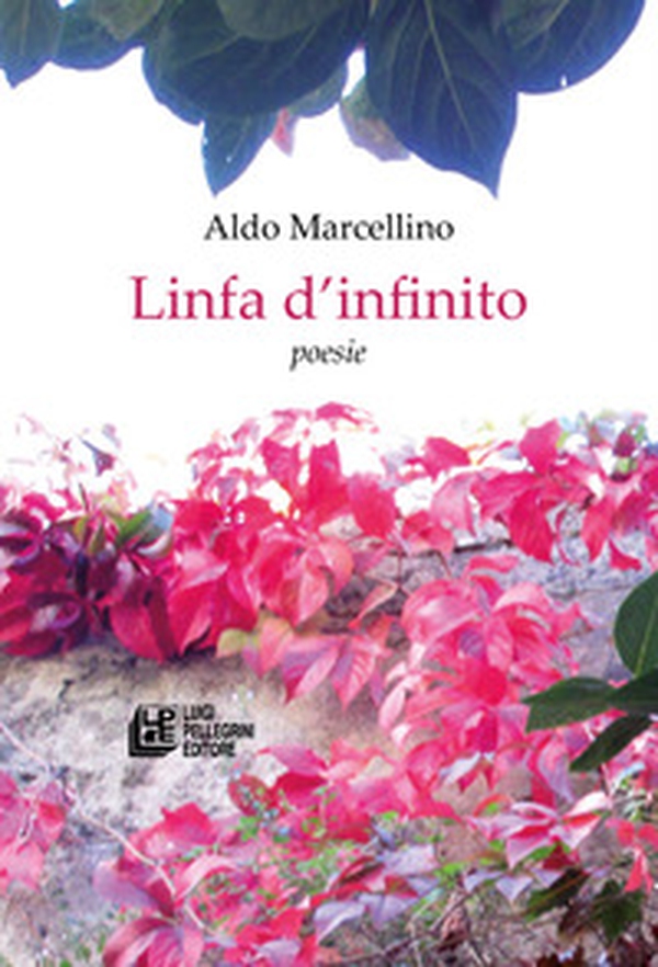Linfa d'infinito - Librerie.coop Linfa d'infinito - Librerie.coop