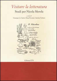 Visitare la letteratura. Studi per Nicola Merola - Librerie.coop