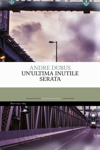 Un'ultima inutile serata - Librerie.coop