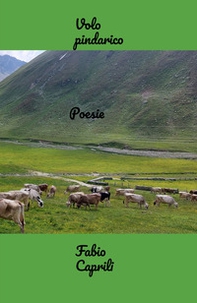 Volo pindarico - Librerie.coop
