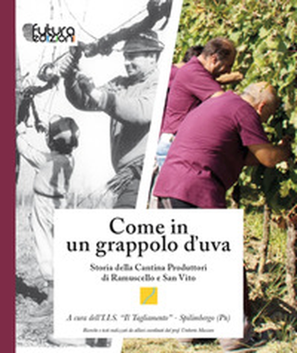 Come in un grappolo d'uva. Storia della Cantina Produttori di Ramuscello e San Vito - Librerie.coop Come in un grappolo d'uva. Storia della Cantina Produttori di Ramuscello e San Vito - Librerie.coop