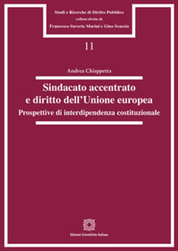 Sindacato accentrato e diritto dell'Unione europea. Prospettive di interdipendenza costituzionale - Librerie.coop