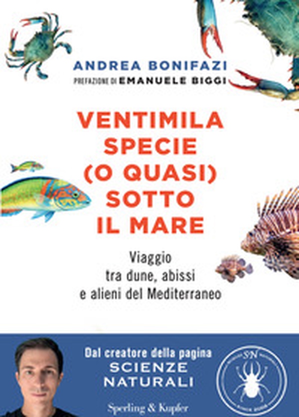 Ventimila specie (o quasi) sotto il mare. Viaggio tra dune, abissi e alieni del Mediterraneo - Librerie.coop