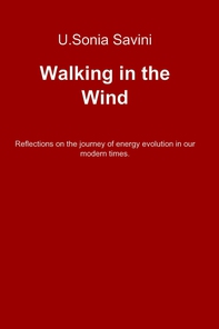 Walking in the Wind - Librerie.coop