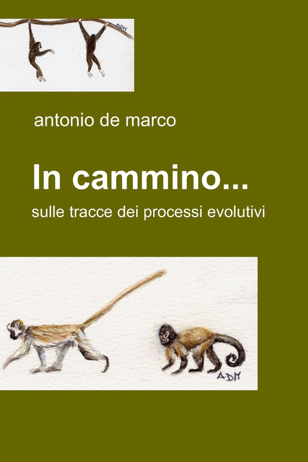 In cammino... - Librerie.coop In cammino... - Librerie.coop