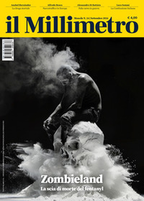 Il millimetro - Vol. 24 - Librerie.coop Il millimetro - Vol. 24 - Librerie.coop