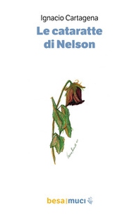 Le cataratte di Nelson - Librerie.coop