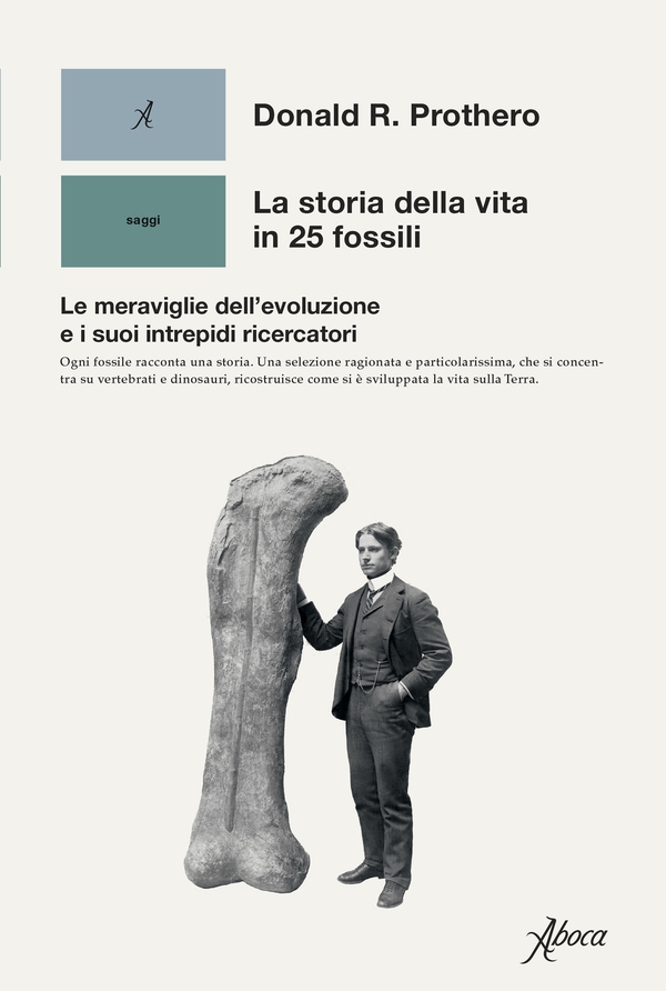 La storia della vita in 25 fossili - Librerie.coop La storia della vita in 25 fossili - Librerie.coop