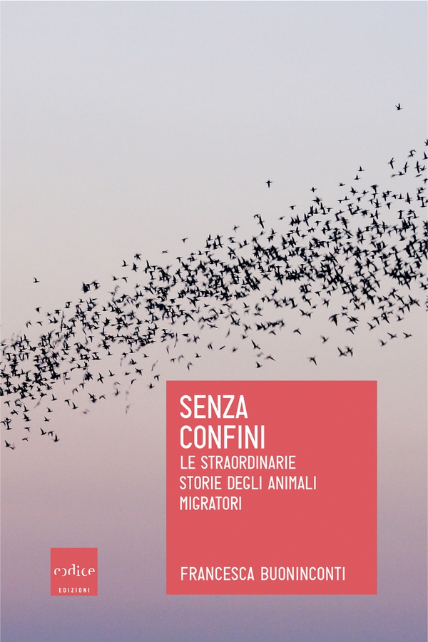 Senza confini - Librerie.coop Senza confini - Librerie.coop