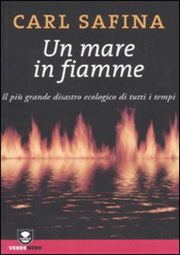 Un mare in fiamme. Il più grande disastro ecologico di tutti i tempi - Librerie.coop Un mare in fiamme. Il più grande disastro ecologico di tutti i tempi - Librerie.coop