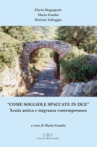 «Come sogliole spaccate in due». Xenía antica e migranza contemporanea - Librerie.coop