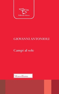 Campi al sole - Librerie.coop