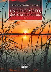 Un solo posto, due distinte anime - Librerie.coop