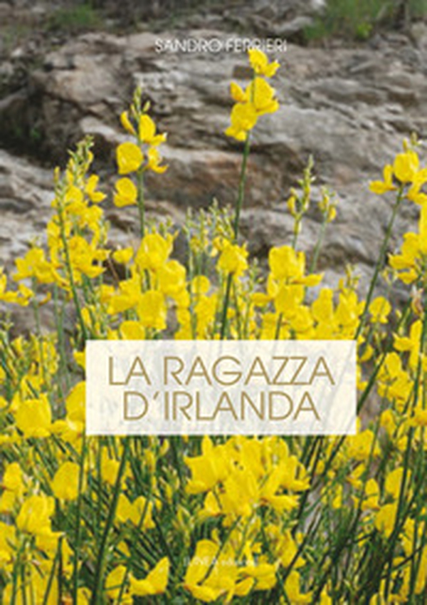 La ragazza d'Irlanda - Librerie.coop La ragazza d'Irlanda - Librerie.coop