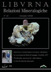 Relazioni mineralogiche. Libvrna - Vol. 22 - Librerie.coop