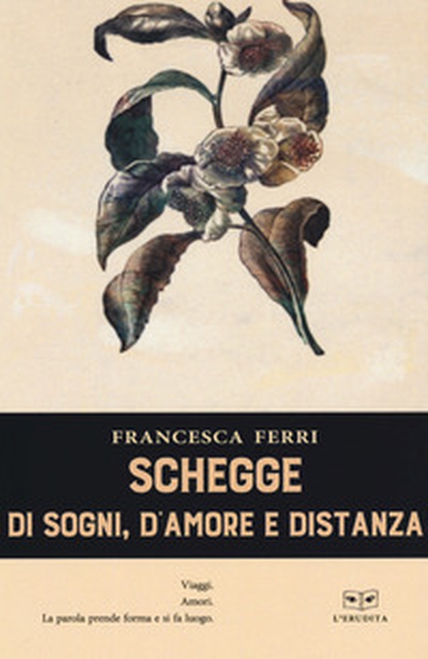 Schegge di sogni, d'amore e distanza - Librerie.coop Schegge di sogni, d'amore e distanza - Librerie.coop