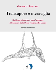 Tra stupore e meraviglia - Librerie.coop